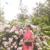phyophyo8651