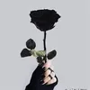 black.rose12362