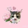 donaa123123