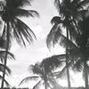 ioana.xqx