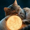 abd_alrahman269