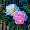 user3541907770196