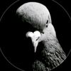 kerill_eshkere228