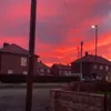 hollymae015