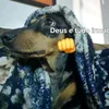 snuffyks