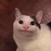 _csimpike_00