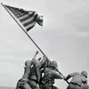 mus_5t
