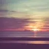 daniti808
