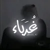 غُـــربَـاَء🖤.