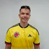 Arellanoo