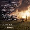 user6565837840328