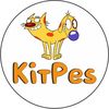КітPes_groomDnipro