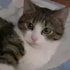 ciracqjudh2