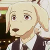 just_jackfan