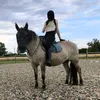 natalix_eq