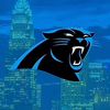 carolinapanthers1252