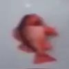 fish11118