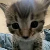 tamara_1457