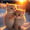 monera.hossain1