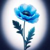 blue.poppyz