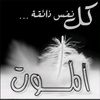 user41858104393912
