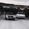 petrit_krasn1qi