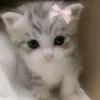 s.scary.to.love