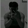 alexandersianiparrr