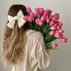 .zainab3268
