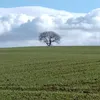 bezbxbezx