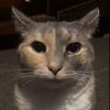 adrikittymeow