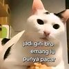 zzam707