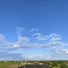 natsu_letov