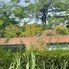 HHG OASIS