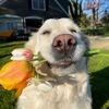 barry15_5