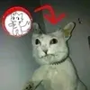 Ярослав Циферблат