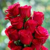 md.faruk50173