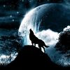 white.wolf0469