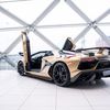 dubaidriver_