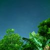anggar_rek