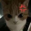 kiseqww
