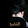 alshaamikh404