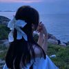 shmrb_098