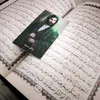 user88861978630612