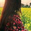 hla_389