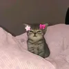 mar_vick20