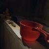 asyifa_cipa22
