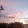 e_iou_ruok_2556