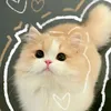 yzxandreav_