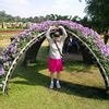 lampang.meksawat